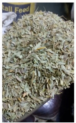 Hari patti 